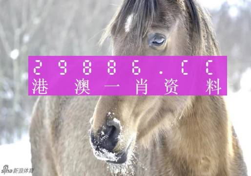 澳門一肖一碼，揭秘一個(gè)關(guān)于精準(zhǔn)預(yù)測背后的故事，澳門一肖一碼揭秘，精準(zhǔn)預(yù)測背后的神秘故事