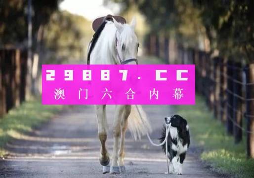 澳門彩的奧秘世界與SEO優(yōu)化策略探討 —— www.04812com的獨(dú)家解析，澳門彩奧秘與SEO優(yōu)化策略獨(dú)家解析，www.04812com深度探討