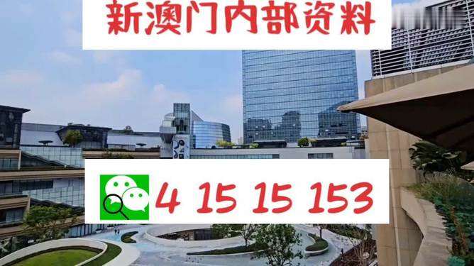 芳草地2025澳門資料，探索未來的奧秘，探索澳門未來奧秘，芳草地資料揭示的藍(lán)圖 2025年展望