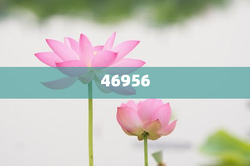 新奧集團，邁向2025，天天開好彩的愿景與挑戰(zhàn)，新奧集團邁向2025，實現(xiàn)天天開好彩的愿景與挑戰(zhàn)