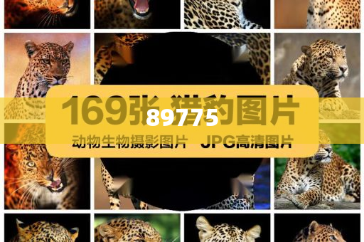 關(guān)于新奧歷史開獎記錄的最新信息，今天公布了嗎？，新奧歷史開獎記錄最新信息公布了嗎？