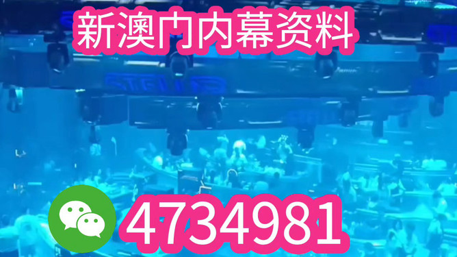 揭秘未來(lái)之星，2025新澳王中王，揭秘未來(lái)之星，2025新澳王中王風(fēng)采展示