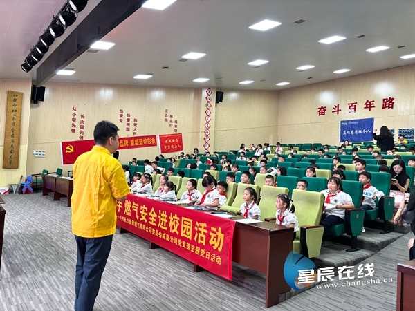 新奧49正版資料，探索與解析，新奧49正版資料深度探索與解析