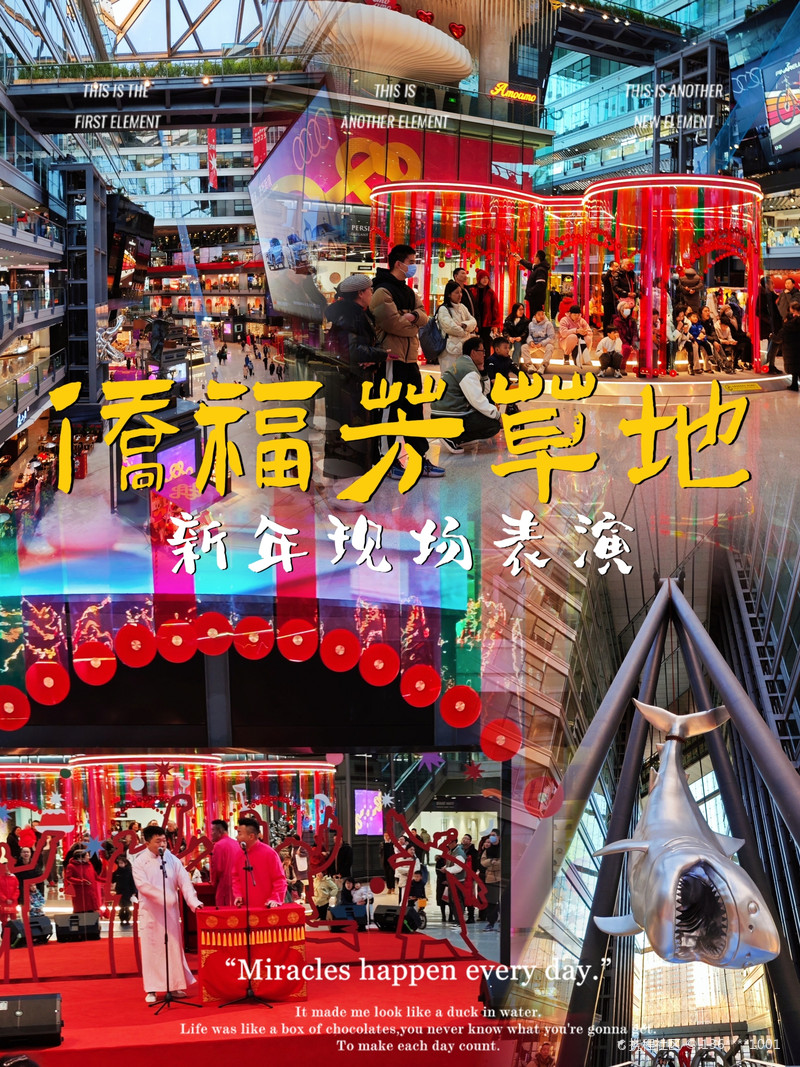 最新揭秘，2024新澳芳草地全方位資料詳解，揭秘2024新澳芳草地全方位資料，最新詳解