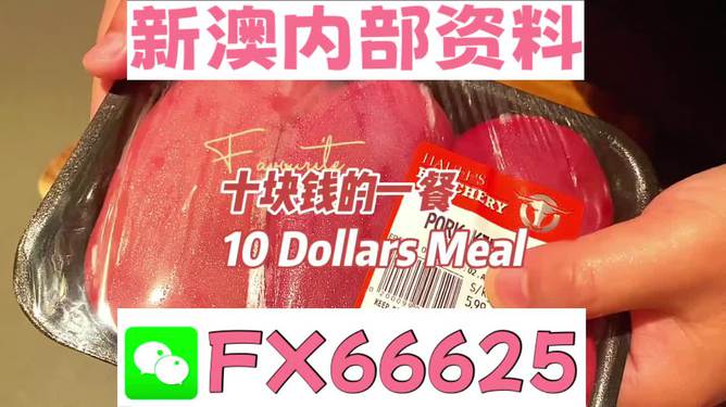 紅雙喜新澳資料，深度解析與SEO優(yōu)化策略，紅雙喜新澳資料深度解析與SEO優(yōu)化策略探討