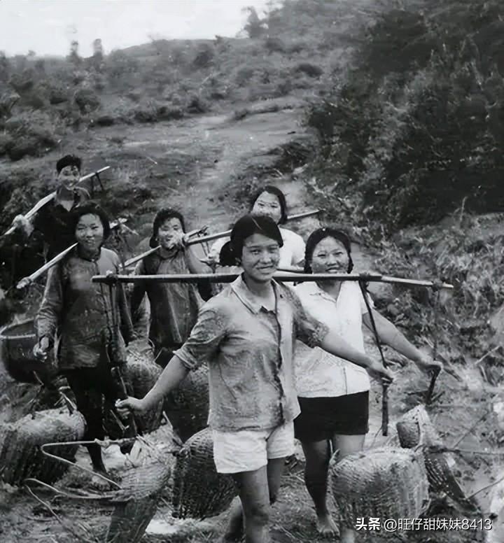 關(guān)于49圖庫(kù)圖片資料的全面解析與探索，49圖庫(kù)圖片資料深度解析與探索
