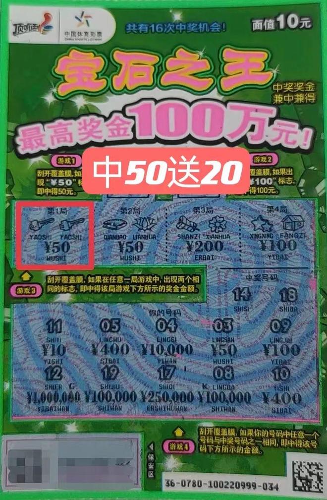 王中王金錢豹一肖中特，揭秘背后的神秘與傳奇，揭秘王中王金錢豹一肖中特的神秘與傳奇歷程
