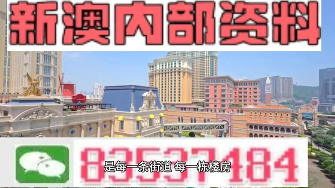 新澳門最精準(zhǔn)正最精準(zhǔn)龍門——探索澳門的魅力與機(jī)遇，澳門魅力與機(jī)遇探索，新澳門最精準(zhǔn)龍門