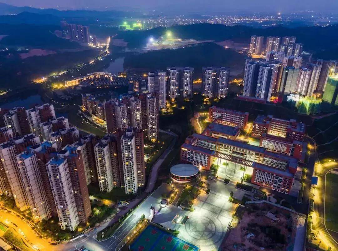 關于2025新門正版免費資本的探討，關于2025新門正版免費資本的深度探討