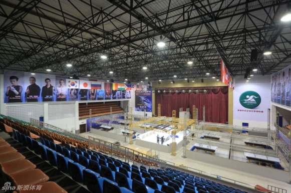 王中王一肖一馬，揭秘免費中特之秘，揭秘王中王一肖一馬，免費中特背后的秘密