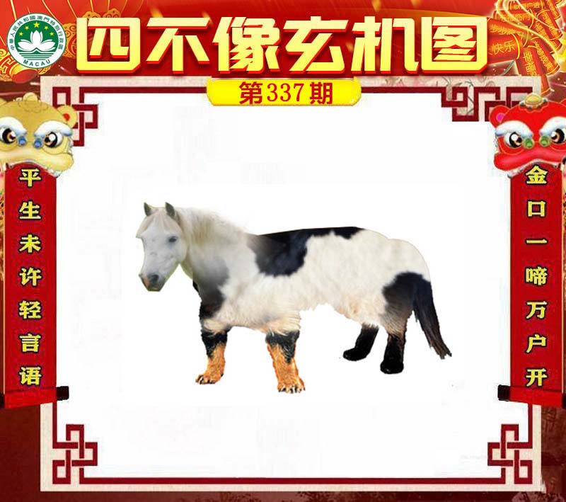 王中王一肖必中四不像，揭秘彩票背后的秘密與策略，揭秘彩票背后的秘密與策略，王中王一肖四不像彩票解析