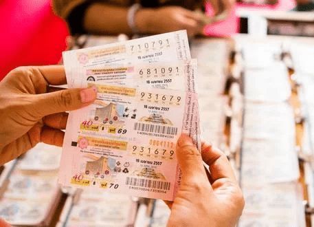 一肖王中王技巧探索