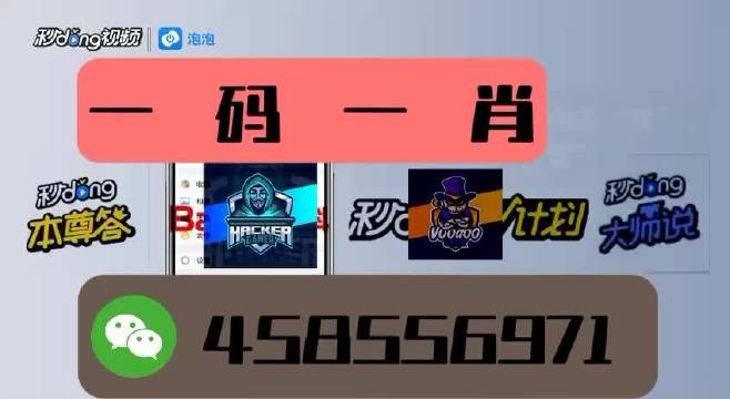 本期一肖一碼王中王，揭秘與探索，揭秘一肖一碼王中王，探索生肖與數(shù)字的神秘聯(lián)系