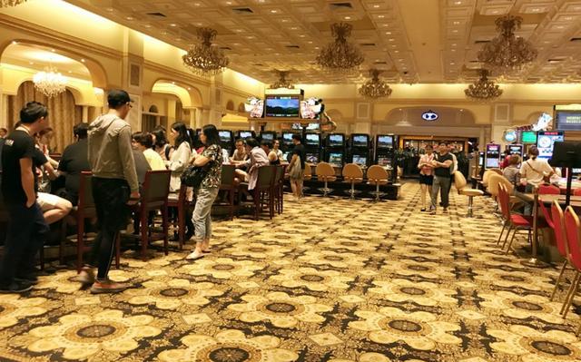 新澳門天天彩期期精準(zhǔn)，揭秘彩票預(yù)測背后的秘密，揭秘新澳門天天彩期期精準(zhǔn)的彩票預(yù)測秘密