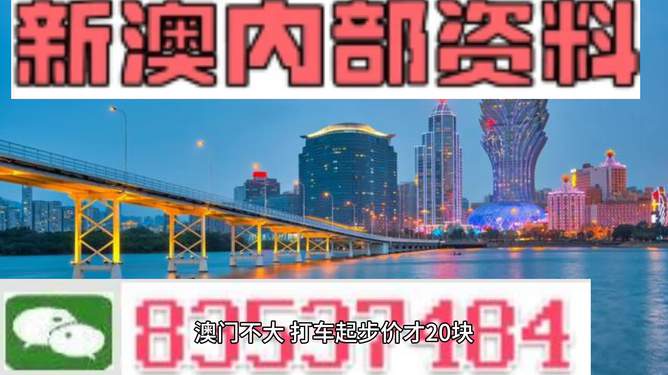 2025新澳門資料大全（第123期），探索澳門未來之旅的必備指南，澳門未來之旅探索指南，澳門新資料大全（第123期）