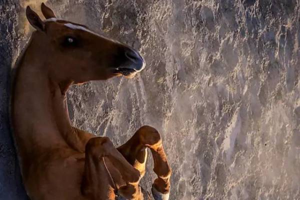 神秘傳說與解讀