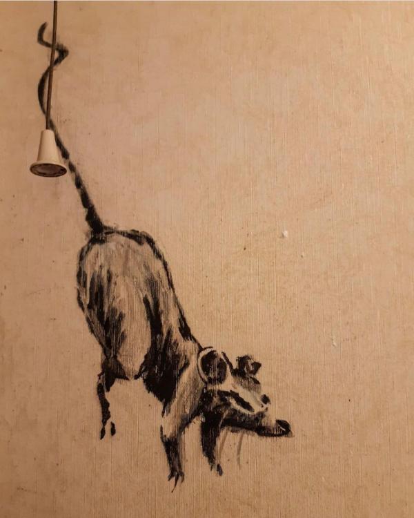 揭秘劉伯溫平特一肖，109期背后的神秘故事與預(yù)測(cè)啟示，揭秘劉伯溫平特一肖背后的神秘故事與預(yù)測(cè)啟示，第109期的啟示