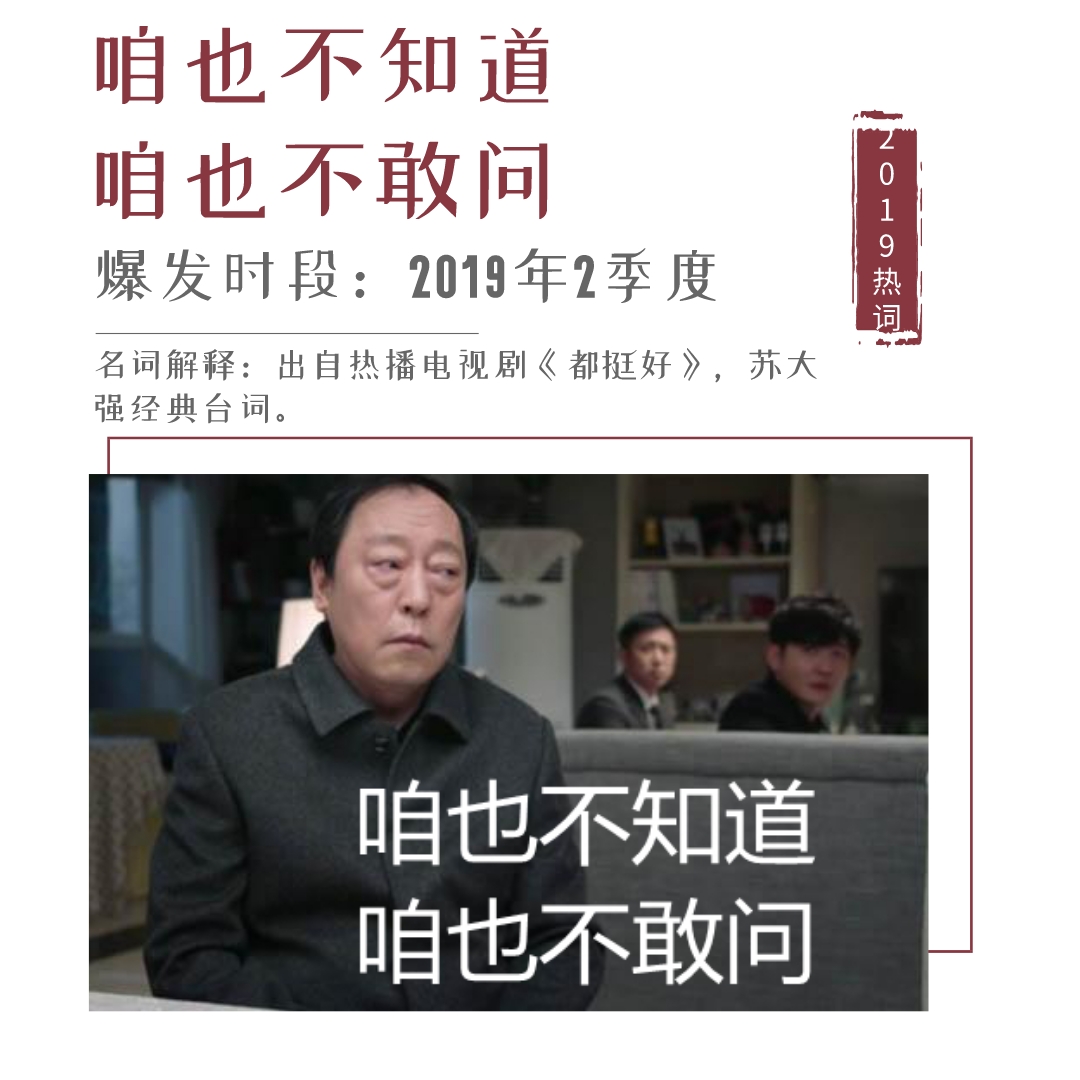 王中王一句解四肖，揭秘生肖奧秘與運勢解析，揭秘生肖奧秘與運勢解析，王中王一句解四肖探秘運勢之道