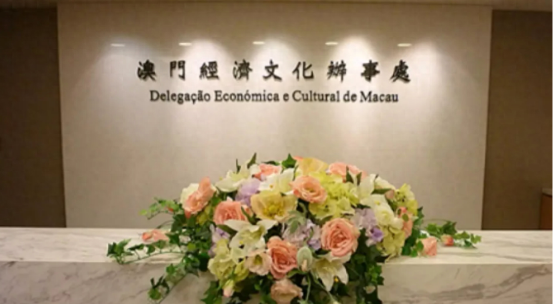 新澳門一碼一肖一待一中四不像的奧秘與探索，澳門一碼一肖一待一中四不像奧秘揭秘與探索