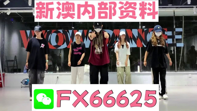 新奧天天免費(fèi)資料大全——探索與優(yōu)化的SEO之旅，新奧天天免費(fèi)資料大全，SEO探索與優(yōu)化之旅