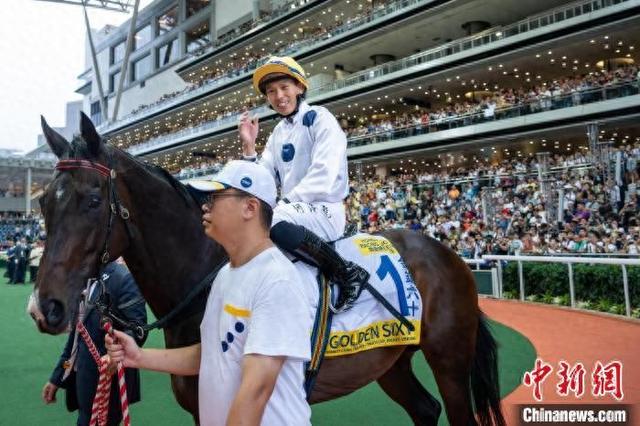 香港特馬王資料免費公開，深度解析與探索，香港特馬王資料深度解析與探索，免費公開揭秘