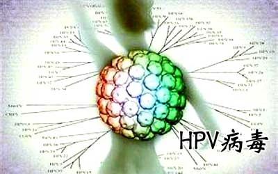 HPV病毒能否徹底清除？深度解析與應(yīng)對策略，深度解析HPV病毒能否徹底清除，應(yīng)對策略及應(yīng)對方法