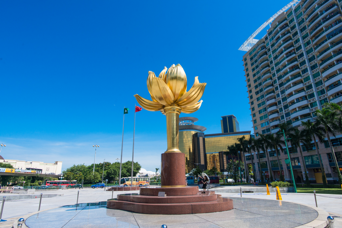 澳門(mén)一碼一肖一待一中四不像，探索與解析，澳門(mén)一碼一肖一待一中四不像，深度解析與探索