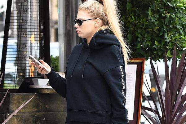 四不像一肖圖王中王，揭秘背后的奧秘與獨(dú)特魅力，揭秘四不像一肖圖王中王的奧秘與獨(dú)特魅力