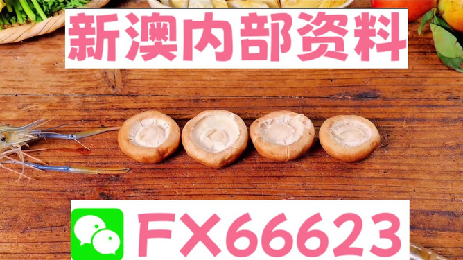 新澳全年免費(fèi)資料大全——探索與學(xué)習(xí)資源的寶庫(kù)，新澳全年免費(fèi)資料大全，探索與學(xué)習(xí)資源的終極寶庫(kù)