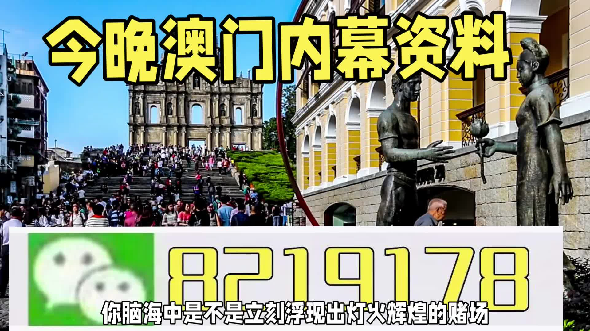 新澳門一肖一特一中，探索與解讀，新澳門一肖一特一中，深度探索與解讀