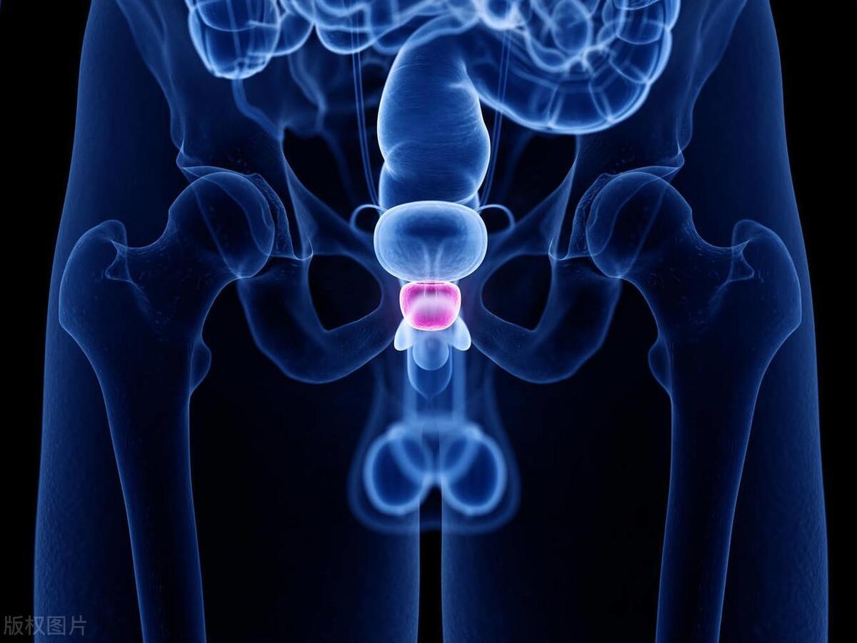 肛裂的癥狀及其影響，了解、預(yù)防與治療，肛裂的癥狀、影響、預(yù)防與治療全面解析