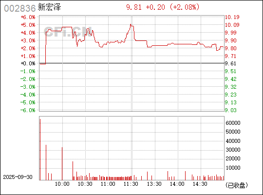 深入了解數(shù)字代碼，002836——探索其背后的含義與應(yīng)用，揭秘?cái)?shù)字代碼002836背后的含義與應(yīng)用探索
