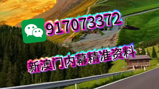 王中王一肖一中特，深度解析與SEO優(yōu)化策略，王中王一肖一中特深度解析與SEO優(yōu)化策略探討