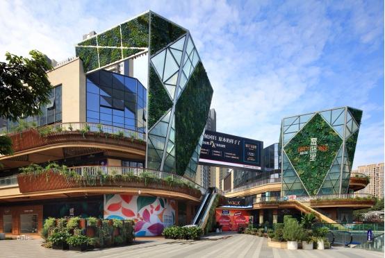 王中王192期指一生肖，深度解析與SEO優(yōu)化策略，王中王192期生肖深度解析與SEO策略優(yōu)化指南