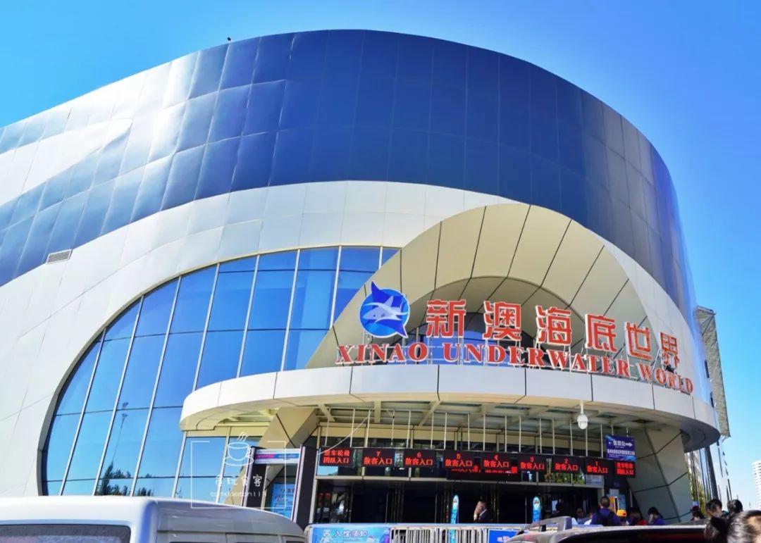 新澳今天晚上出什么