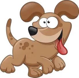 一肖有哪幾個(gè)生肖——生肖文化的深度解析，生肖文化深度解析，一肖涵蓋的生肖有哪些？