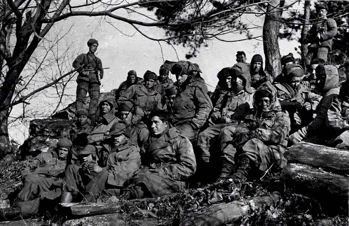 王中王119期指一生肖，深度解析與預(yù)測(cè)，王中王119期生肖深度解析與預(yù)測(cè)，揭秘未來走向