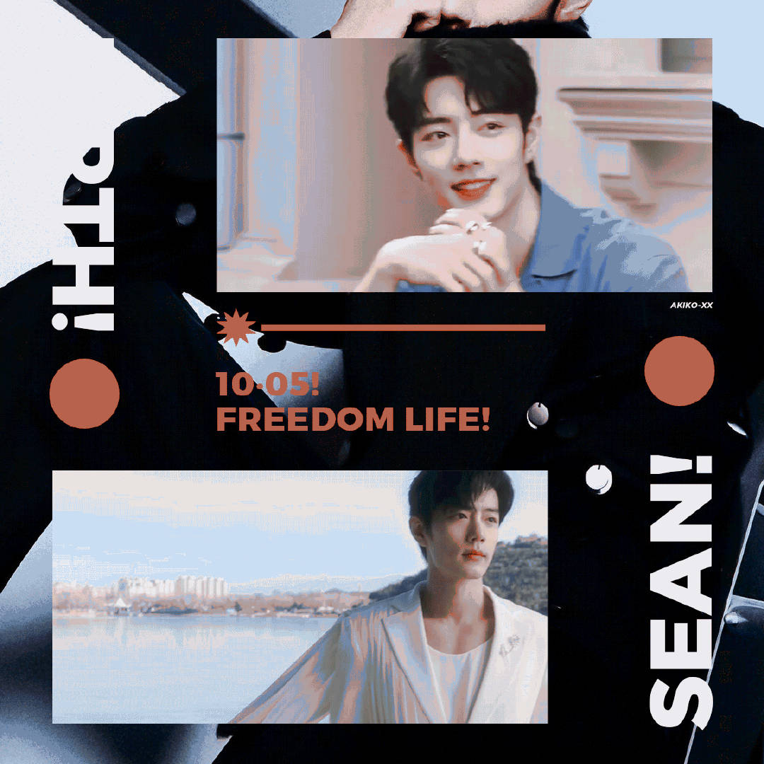 一肖一碼一一肖一子，揭秘生肖與數(shù)字之間的神秘聯(lián)系，揭秘生肖與數(shù)字之間的神秘關(guān)聯(lián)，一肖一碼與子生肖的奧秘