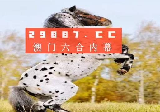 白小姐三碼三期必出一期嗎——揭秘真相與理性思考，揭秘白小姐三碼三期，真相與理性思考的重要性