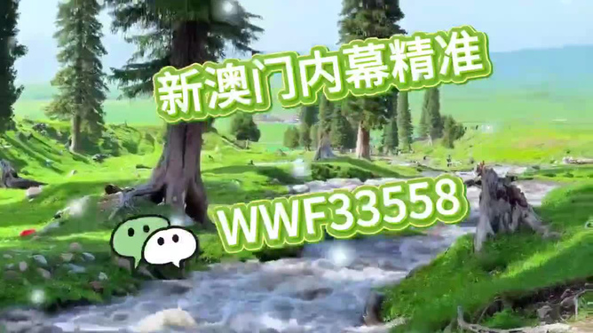 首選王中王打一生肖——揭秘生肖之王的獨(dú)特魅力，揭秘生肖之王獨(dú)特魅力，王中王所指生肖揭曉