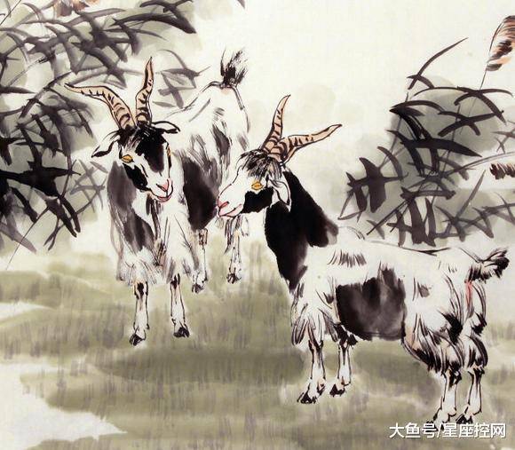 澳門最快開獎六開生肖，揭秘彩票背后的秘密，澳門六開生肖彩票背后的秘密揭曉