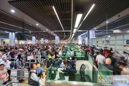 探索與解析揭秘