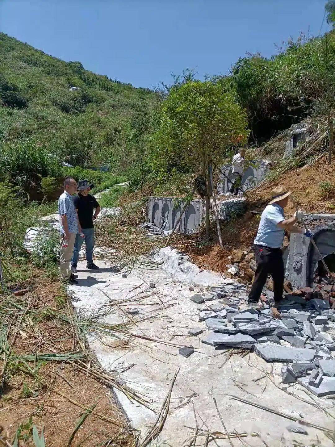 王中王一字一句拆一肖，深度解析背后的奧秘，王中王拆字揭秘，探尋背后奧秘揭曉生肖之謎