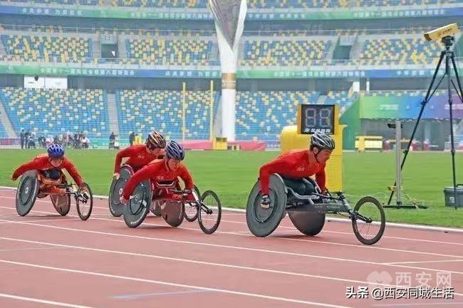 探索澳門未來，2025新澳門正版免費資本車展望，澳門未來展望，2025資本車正版免費探索之旅