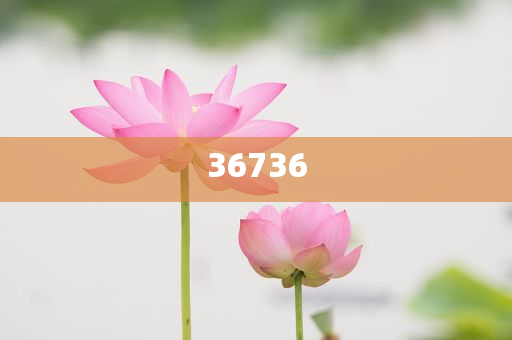 揭秘7777788888精準(zhǔn)新傳真，真相大揭秘，揭秘精準(zhǔn)新傳真背后的真相，77777與88888的神秘面紗被揭開