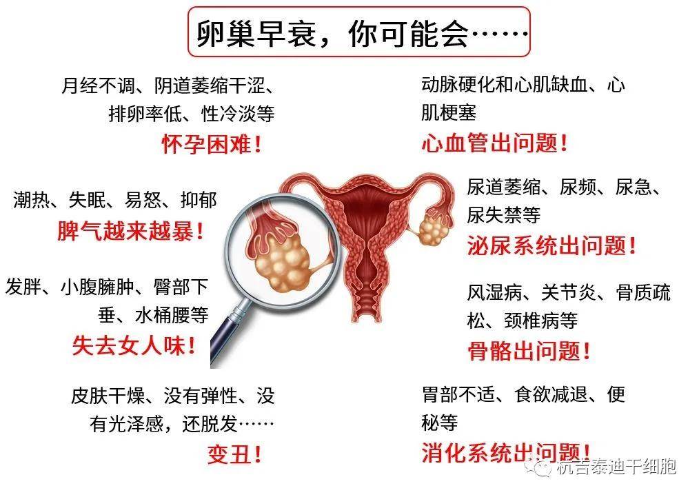 四十歲卵巢早衰能否調(diào)整回來？解讀卵巢早衰與應(yīng)對策略，四十歲卵巢早衰能否調(diào)整回來？解讀卵巢早衰現(xiàn)象及應(yīng)對策略