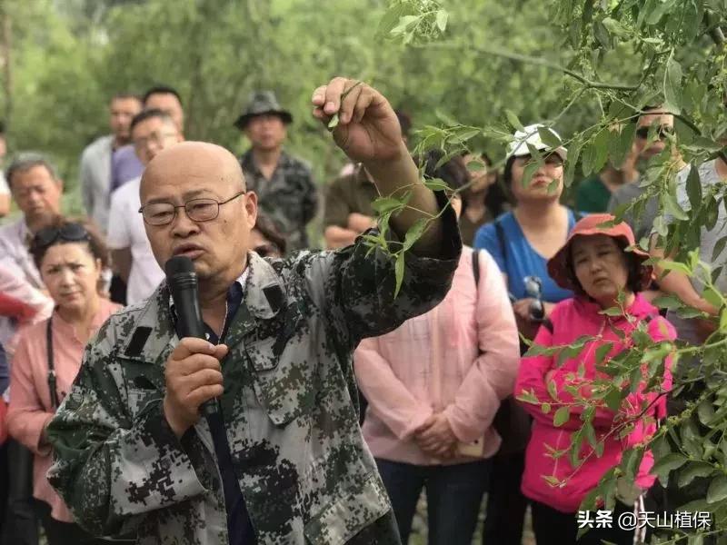 長期吃紅棗的潛在害處，了解并平衡飲食健康，長期食用紅棗的潛在風(fēng)險與飲食平衡的重要性