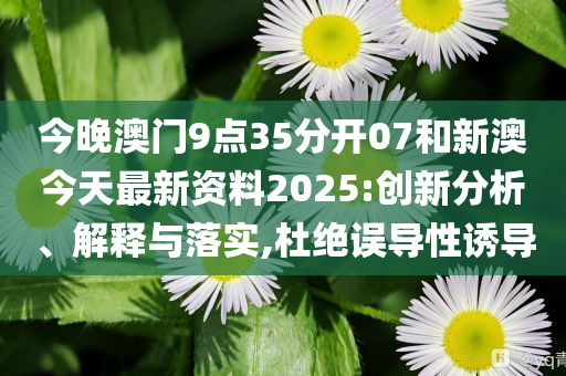 新澳今天最新資料，深度解讀與探索，新澳今日深度解讀與探索最新資料
