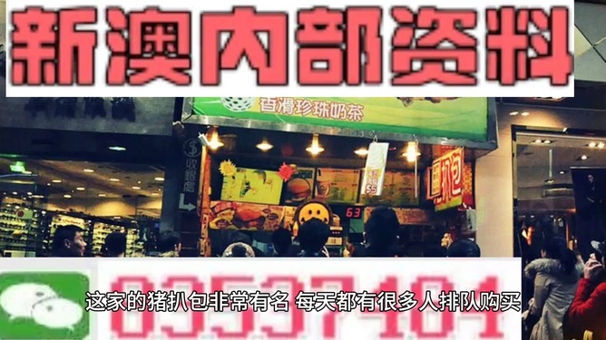 新奧天天精準資料大全，全方位解讀與應用指南，新奧天天精準資料大全，全方位解讀與應用指南手冊
