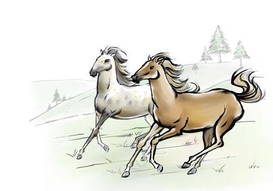 今期必劉伯溫打一生肖——探尋生肖奧秘與傳奇人物劉伯溫的關(guān)聯(lián)，劉伯溫與生肖奧秘，探尋傳奇人物與生肖的關(guān)聯(lián)